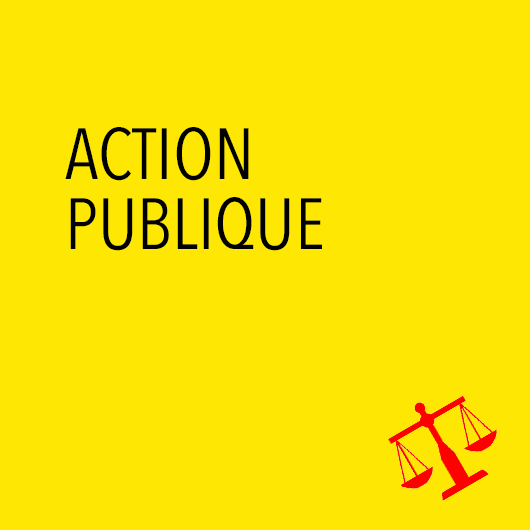 action publique territoriale